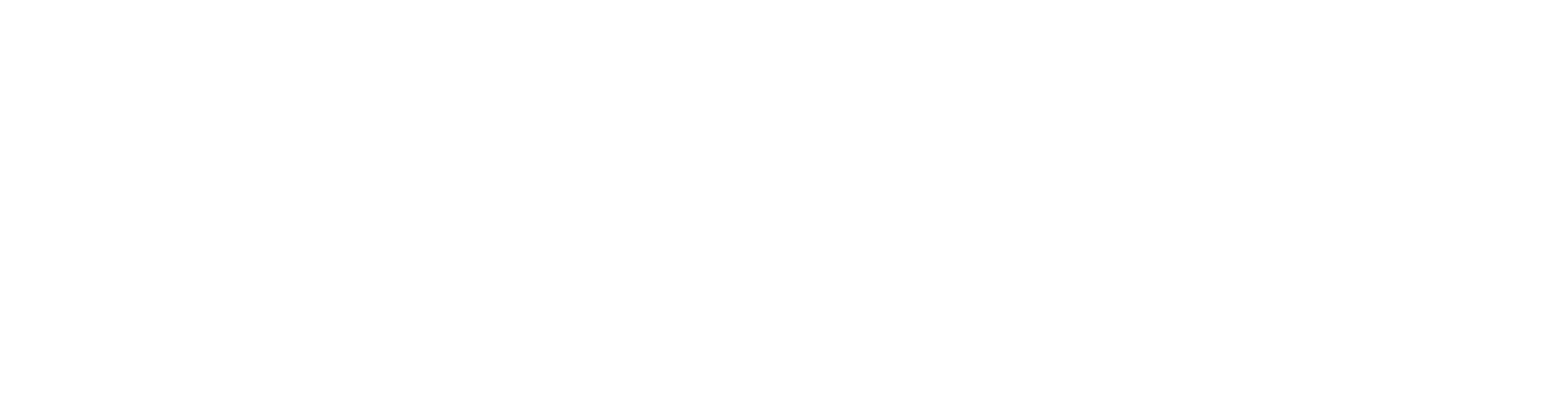 S8